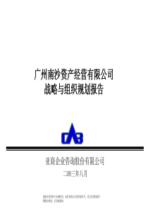 南沙资产经营公司战略与组织规划