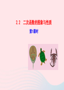 九年级数学下册 第2章二次函数 2.2 二次函数的图象与性质第1课时教学课件 湘教版