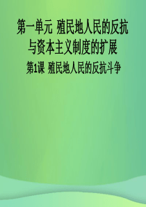 九年级历史下册 第一单元 殖民地人民的反抗与资本主义制度的扩展 第1课 殖民地人民的反抗斗争导学课件