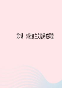 九年级历史下册 第一单元 苏联社会主义道路的探索 第2课 对社会主义道路的探索习题课件 新人教版