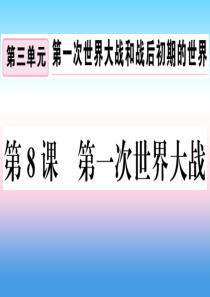 九年级历史下册 第三单元 第一次世界大战和战后初期的世界 第8课 第一次世界大战习题课件 新人教版