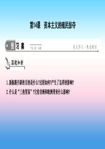 九年级历史上册《第三单元 近代早期的西欧》第14课 资本主义的殖民掠夺课件 中华书局版