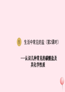 九年级化学下册 第十一单元 盐 化肥 课题1 生活中常见的盐（第2课时）课件2 （新版）新人教版