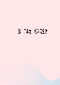 九年级化学下册 第十二单元 化学与生活课件 （新版）新人教版