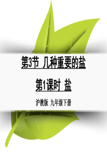 九年级化学下册 第七章 应用广泛的酸、碱、盐 第3节 几种重要的盐 第1课时 盐同课异构课件2 沪教