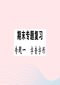 江西省2020春九年级语文下册 期末专题复习一 字音字形习题课件 新人教版