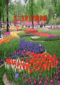 江苏省徐州市铜山区九年级化学下册 7.2 常见的酸和碱 常见的碱课件 沪教版