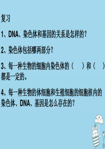 吉林省通化市八年级生物下册 7.2.3基因的显性和隐性课件 （新版）新人教版