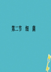 吉林省前郭尔罗斯蒙古族自治县八年级生物上册 5.4.2 细菌课件 （新版）新人教版