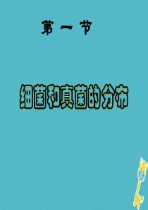 吉林省前郭尔罗斯蒙古族自治县八年级生物上册 5.4.1 细菌和真菌的分布课件 （新版）新人教版