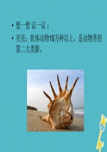 吉林省前郭尔罗斯蒙古族自治县八年级生物上册 5.1.3 软体动物和节肢动物课件 （新版）新人教版
