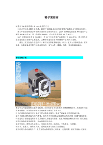 转子泵招标