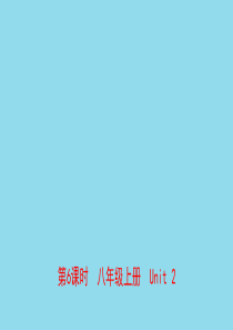 河南省2019年中考英语总复习 第6课时 八上 Unit 2课件 仁爱版