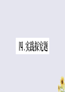广西河池市2019中考道德与法治总复习 实践探究题课件