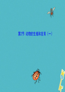 广东省惠州市八年级生物上册 19.2动物的生殖和发育（一）课件 （新版）北师大版