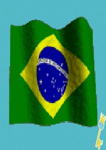 广东省佛冈县七年级地理下册 9.3巴西课件2 （新版）粤教版