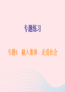 广东省2019年中考道德与法治总复习 专题突破4 融入集体 走进社会课件