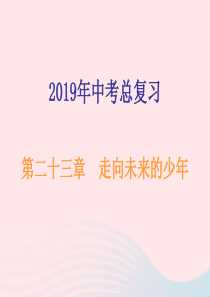 广东省2019年中考道德与法治总复习 九下 第二十三章 走向未来的少年课件