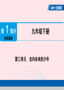广东省2019版中考道德与法治 九下 第3单元 走向未来的少年课件