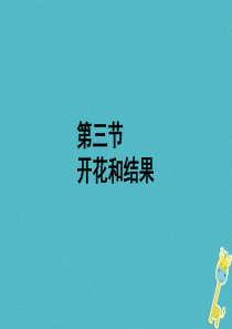 福建省漳州市云霄县七年级生物上册 第三单元 第二章 第三节 开花和结果课件 （新版）新人教版