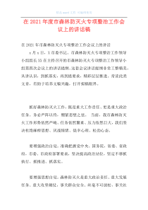 在2021年度市森林防灭火专项整治工作会议上的讲话稿