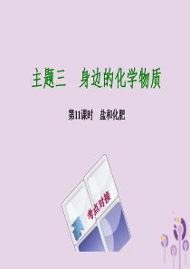 福建省2018年中考化学复习 主题三 身边的化学物质 第11课时 盐和化肥课件