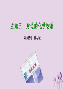 福建省2018年中考化学复习 主题三 身边的化学物质 第10课时 酸与碱课件