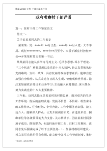 政府考察村干部评语