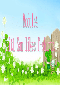 二年级英语上册 Module 4 Unit 1 Sam like T-shirts课件4 外研版（一