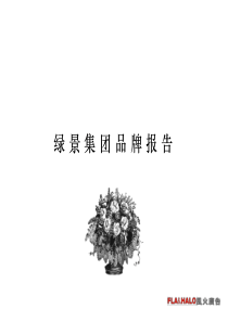 绿景集团房地产公司品牌报告－风火