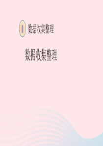 二年级数学下册 1 数据收集整理 1 数据收集整理教学课件 新人教版