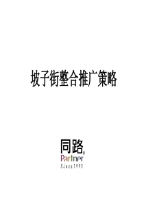同路广告-坡子街整合推广策略