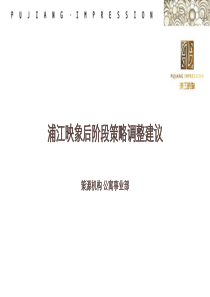 后阶段策略调整建议（huang7.29）