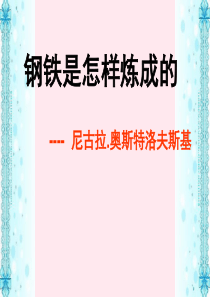 八年级语文下册 第六单元 名著导读《钢铁是怎样炼成的》课件 新人教版