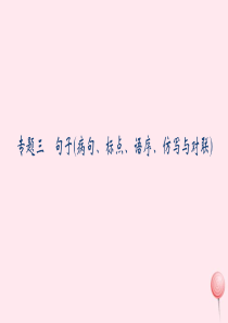 八年级语文上册 期末专题复习三 句子(病句、标点、语序、仿写与对联)习题课件 语文版
