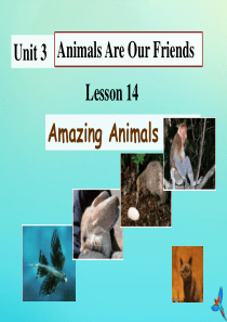 八年级英语下册 Unit 3 Animals are our Friends Lesson 14 A