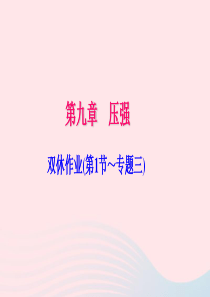 八年级物理下册 第九章 双休作业(第1节-专题三)习题课件 （新版）新人教版
