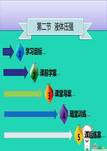 八年级物理下册 第九章 第二节 液体压强（第2课时）习题课件 （新版）新人教版