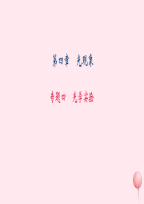 八年级物理上册 专题四 光学实验习题课件 （新版）新人教版