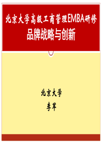 品牌战略与创新-品牌战略与创新