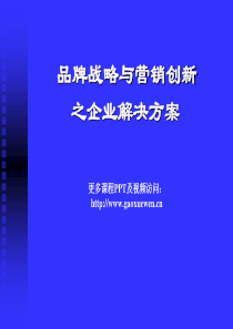 品牌战略与实施