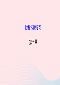 八年级物理全册 第五章 质量与密度阶段专题复习课件 （新版）沪科版