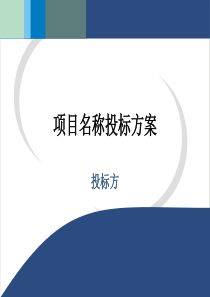 项目名称投标方案