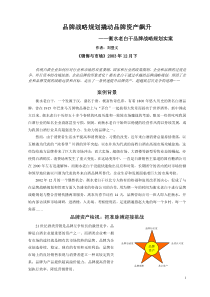 品牌战略规划撬动品牌资产飙升