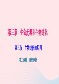 八年级生物下册 第七单元 第三章 第三节 生物进化的原因（第2课时）习题课件 （新版）新人教版