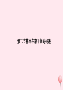 八年级生物下册 第七单元 第二章 第二节 基因在亲子代间的传递课件1 （新版）新人教版