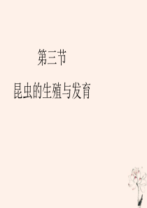 八年级生物下册 第八单元 生物的生殖、发育与遗传 第二十一章 生物的生殖与发育 第三节 昆虫的生殖与