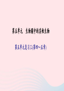 八年级生物上册 第五单元 生物圈中的其他生物复习三(第四-五章)习题课件 （新版）新人教版