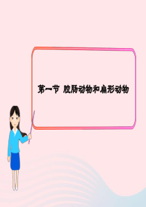 八年级生物上册 第五单元 第一章 第一节 腔肠动物和扁形动物课件 （新版）新人教版
