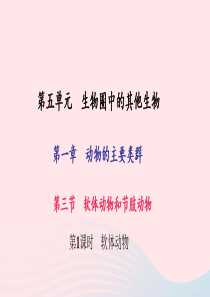 八年级生物上册 第五单元 第一章 第三节 软体动物和节肢动物（第1课时 软体动物）习题课件 （新版）